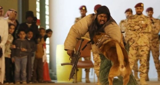 بالصور..استعراض القوات الخاصة لمهارة الكلاب البوليسية في الجنادرية