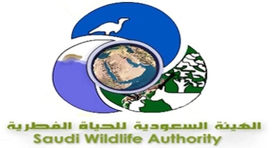 سقوط طائرة تابعة لـ " الحياة الفطرية " في تيماء