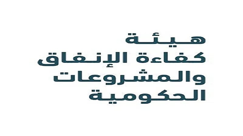 سبب دمج برنامج مشروعات ومركز تحقيق كفاءة الإنفاق في هيئة