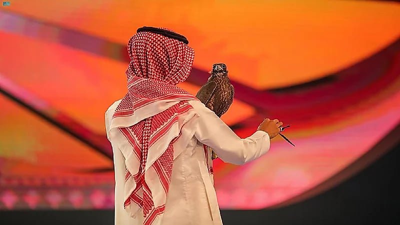 مبيعات مزاد الصقور تتجاوز 2 مليون ريال في الليلة العاشرة