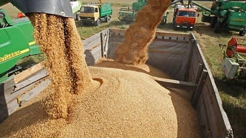 "أوكرانيا" بصدد العودة لكامل طاقتها التصديرية من الحبوب