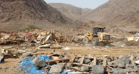 بالصور.. بلدية البيداء بالمدينة تزيل 34 حظيرة عشوائية