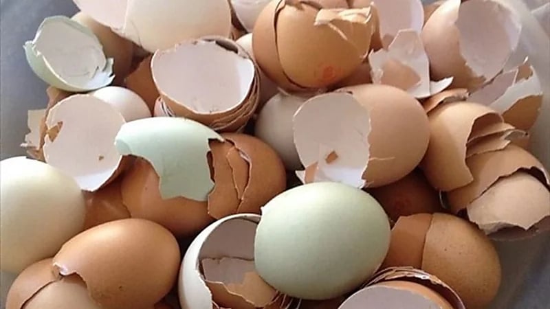 فوائد هامة لإضافة قشور البيض مع القهوة