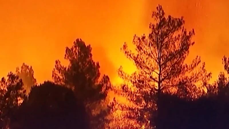 إزمير التركية تتحول إلى اللون البرتقالي بسبب حرائق الغابات.. فيديو