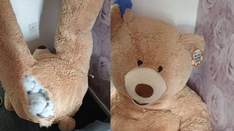 شاب يختبئ داخل دب محشو للفرار من الشرطة