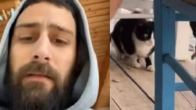 بالفيديو.. رجل ينصب فخ لقطة لكنه لم ينجح