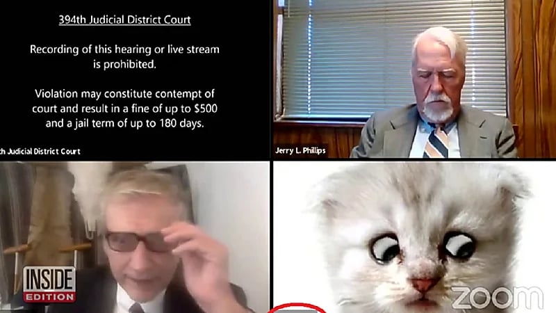 فيديو طريف لمحامي يتحدث للقاضي: هل تسمعني.. أنا لست قطة !!