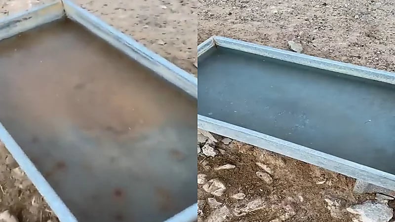 شاهد.. لحظة تجمد الماء من شدة البرودة في طبرجل