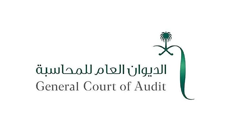 ديوان المحاسبة يعلن برنامج (تدريب تعاوني) بمختلف المناطق