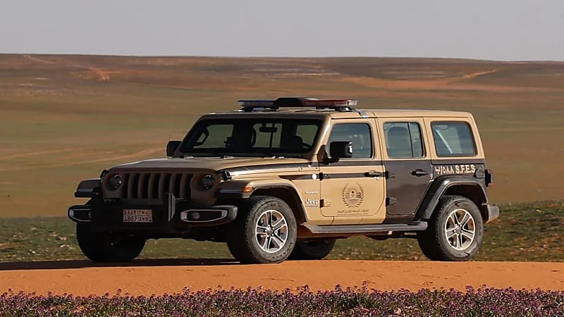 ضبط 17 مخالفًا لنظام البيئة في عدة مناطق.. فيديو