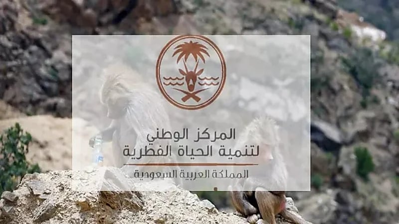 الحياة الفطرية: نشاط الصيد يخضع للأنظمة والقوانين الوطنية