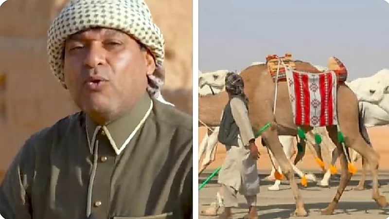 الزعاق يكشف العلاقة بين موسم الوسم والإبل.. فيديو