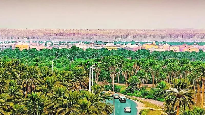 الأحساء تسجل أعلى درجة حرارة اليوم بـ 48 درجة مئوية