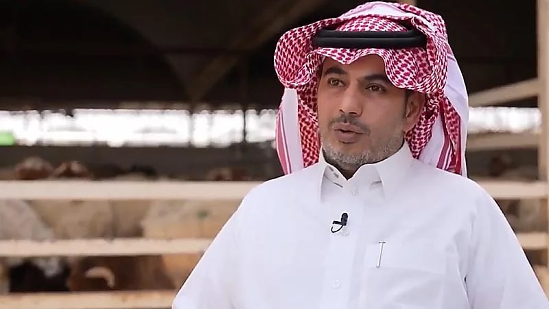 بائع أغنام يوضح كيفية اختيار الأضحية المناسبة ..فيديو