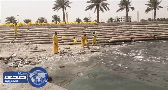 وزارات الكويت تتنصل من مسؤوليتها عن «نفوق الأسماك»