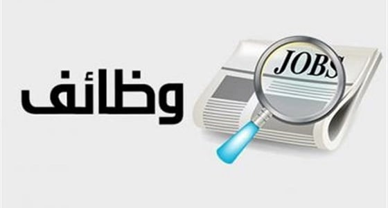 وظائف شاغرة للرجال بـ 4 شركات قطاع خاص