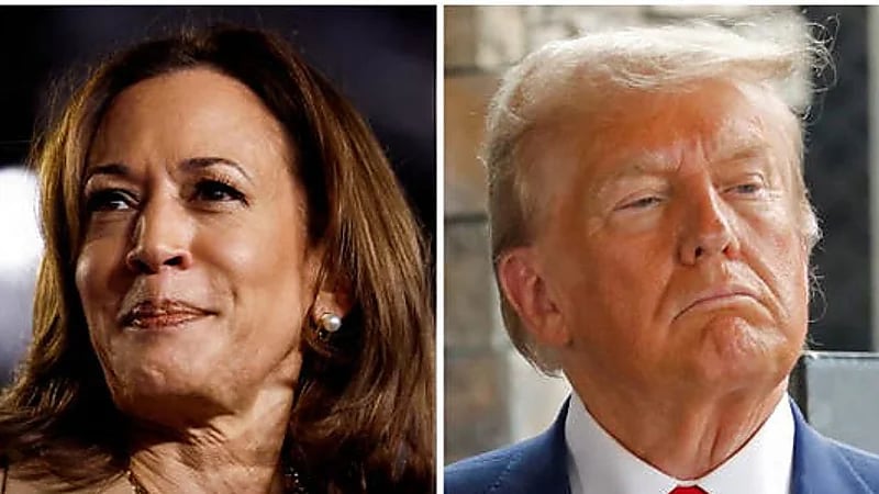 ترامب يطالب بالتحقيق في مزاعم دفع هاريس أموالاً لمشاهير لدعم حملتها الرئاسية