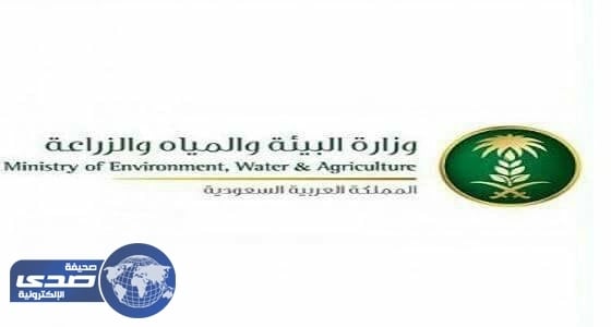 استراتيجية جديدة لتنظيم الرعي ومكافحة التصحر