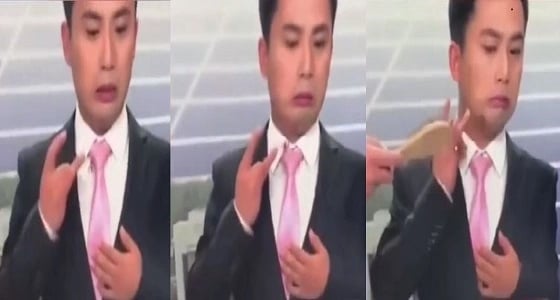 بالفيديو.. نحلة تهاجم مذيع على الهواء ورد فعل صادم للأخير