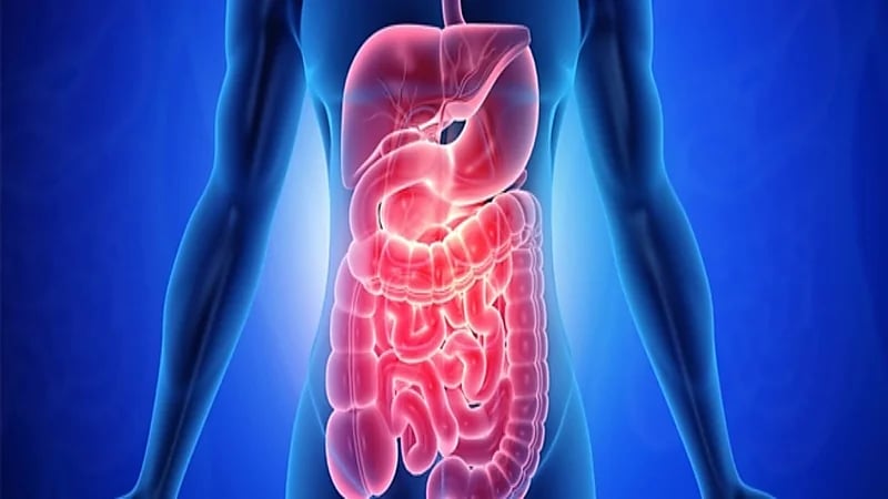 الأمعاء تؤثر في فعالية العلاج الكيميائي للسرطان
