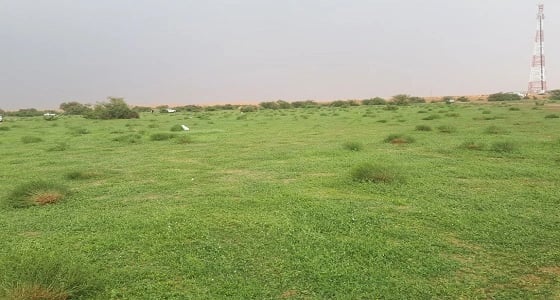 بالفيديو والصور.. التنهات تنتظر المتنزهين