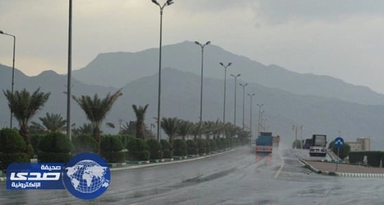 هطول أمطار على رجال ألمع