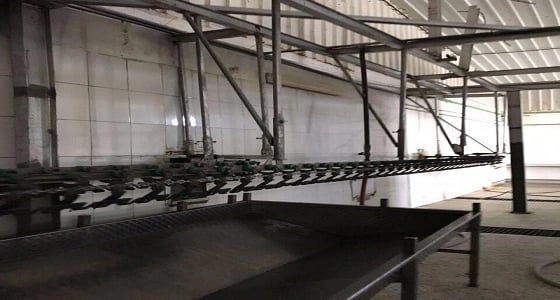 ضبط 16 مخالفا يعملون بإحدى مزارع الدواجن بـ " الليث "