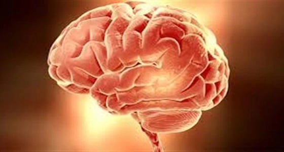 اعتماد أول اختبار للدم يساعد في تشخيص إصابات الدماغ