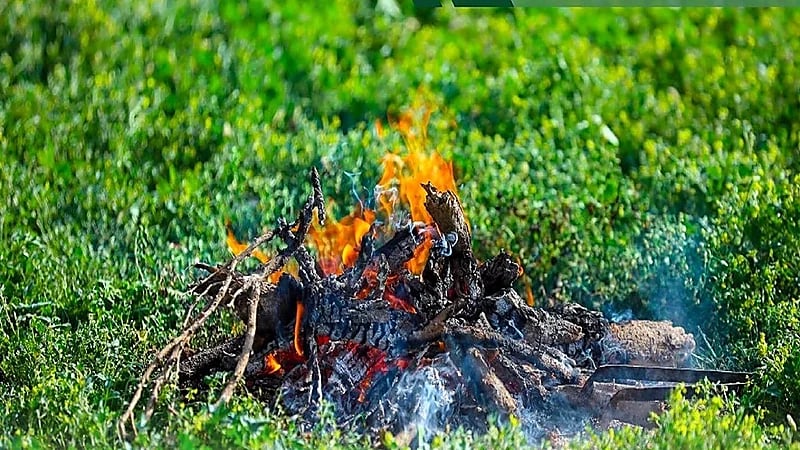 ضبط مواطنًا مخالفًا لنظام البيئة في محمية الأمير محمد بن سلمان الملكية