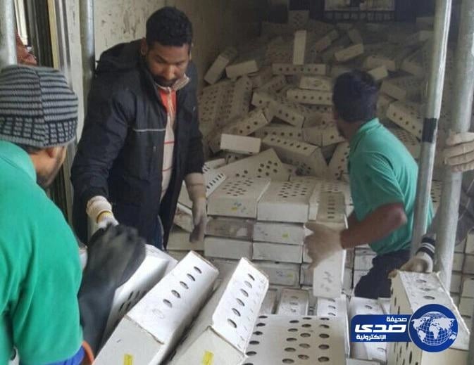 ضبط كميات كبيرة من الروبيان والأسماك المنتهية الصلاحية في الدمام