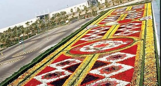 ينبع تستعد لمهرجان الحدائق بمئات الآلاف من الزهور والحوليات