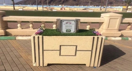 بالفيديو.. حاويات هيدروليكية للتخلص من النفايات بمحايل عسير