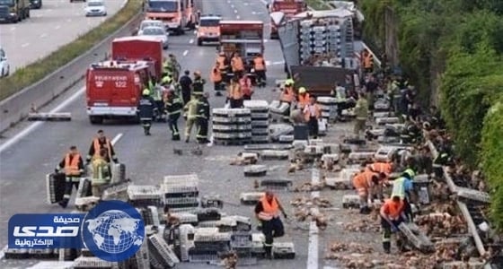 الدجاج يعطل حركة السير على الطريق السريع في النمسا