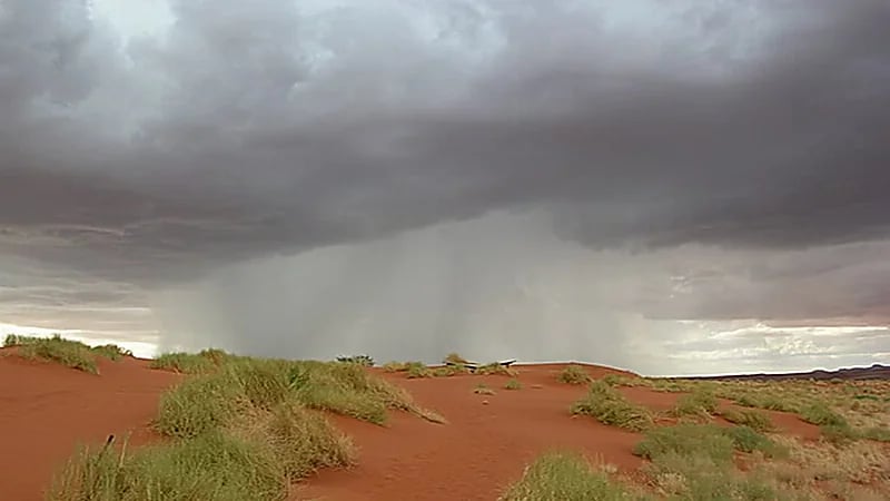 المسند: أمطار الهريف تسقط مع دخول سهيل وقبل الخريف