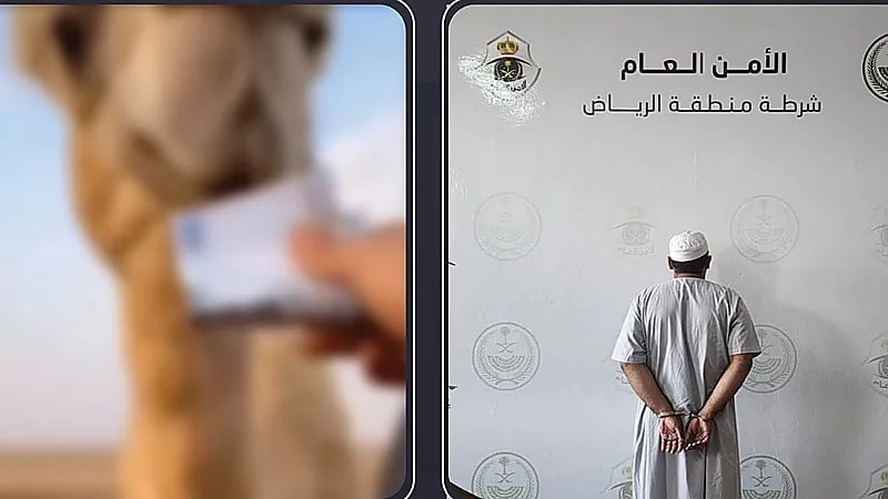 ضبط مواطن تعمد إتلاف العملة في محتوى مرئي بالرياض .. فيديو