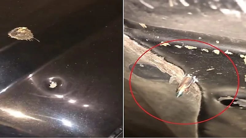 بالفيديو.. اختراق رصاصة طائشة لمركبة مواطن بحي المونسية