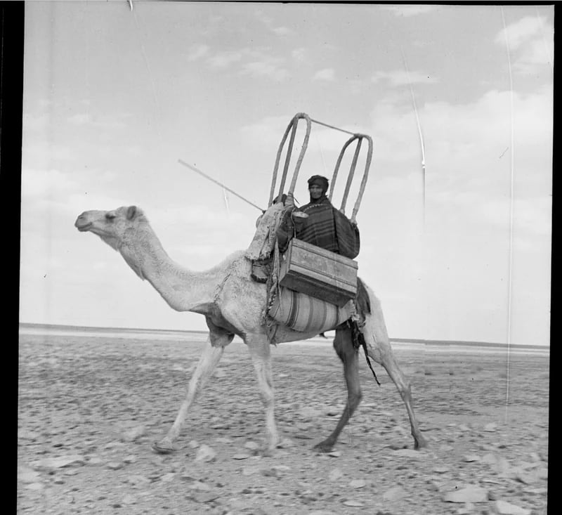 صورة جميلة تستحق التأمل لامرأة مرتحلة على هودج