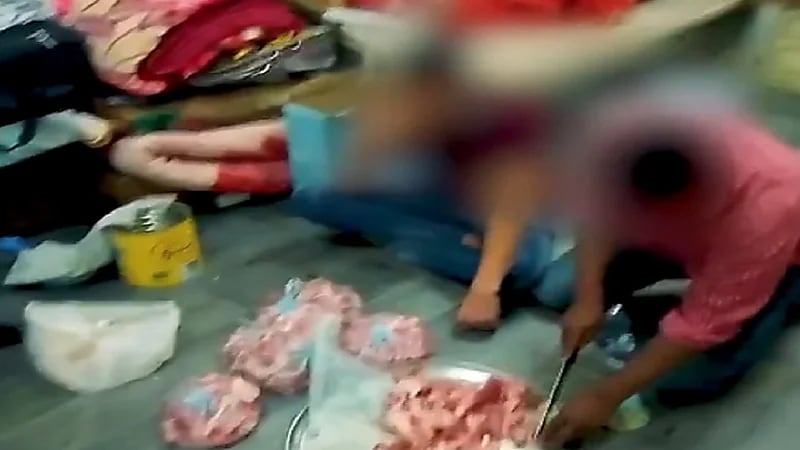 بالفيديو.. الإطاحة بعمالة مخالفة وزعت لحوم ودواجن مجهولة المصدر على المطاعم