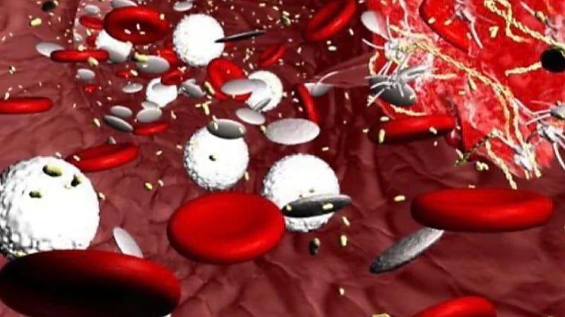 طرق مدهشة لزيادة عدد الصفائح الدموية بشكل طبيعي