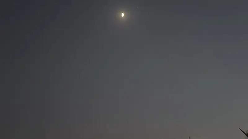 الزعاق: خسوف كلي للقمر يشاهد في سماء الوطن العربي الأحد المقبل.. فيديو