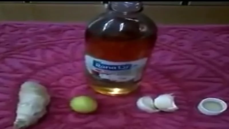 "النمر": خلطة الزنجبيل تزيد مضاعفات الجلطة