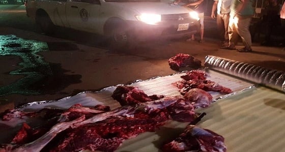 أمانة جازان تداهم مواقع للذبح العشوائي المخالف