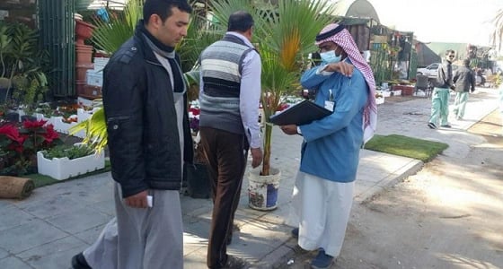 بالصور.. ضبط 38 نقطة بيع مخالفة لنظام الحجر الزراعي بالرياض