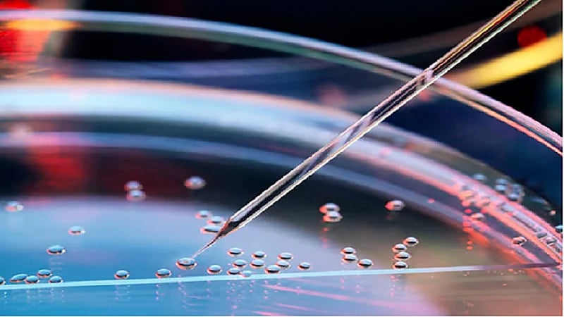 الصحة: الخلايا الجذعية إجراء طبي عالي الخطورة