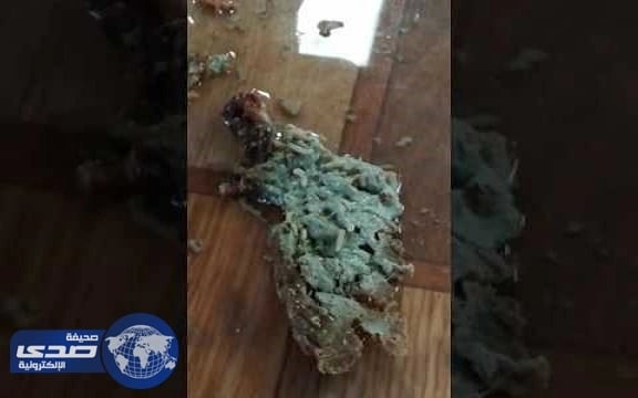 جمال سائبة تتحرك بحرية وسط الطريق السريع بين بدر والمسيجيد وتتسبب في وفاة عائلة " فيديو "