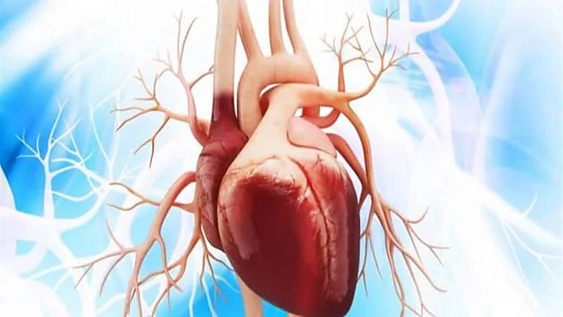 "النمر" يقدم نصيحة للاعبي كرم القدم عند إصابتهم بغشاء التامور الحاد