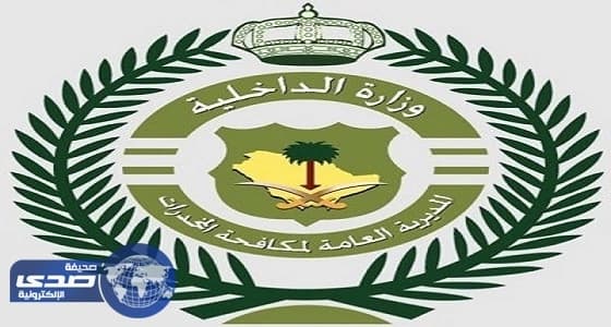 بالتنسيق مع الأمن الإماراتي المملكة تحبط تهريب 9 ملايين قرص أمفيتامين