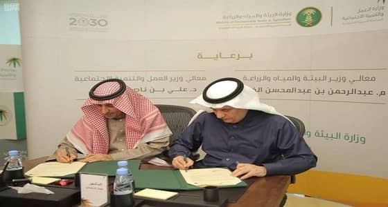 شراكة بين العمل والزراعة لصرف دعم لمستفيدي الضمان بما يعادل 150 لتر مياه يومياً