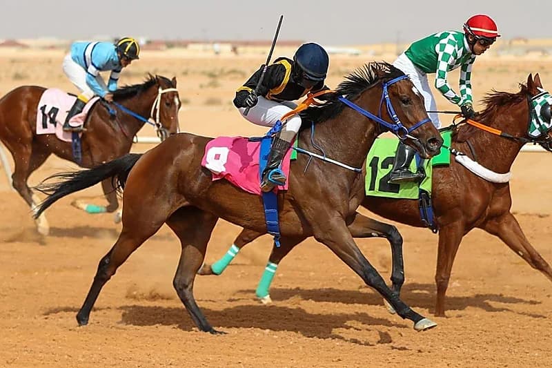 مرور عسير يضبط قائد مركبة ظهر في وسائل التواصل مدعيا تجاوز النظام