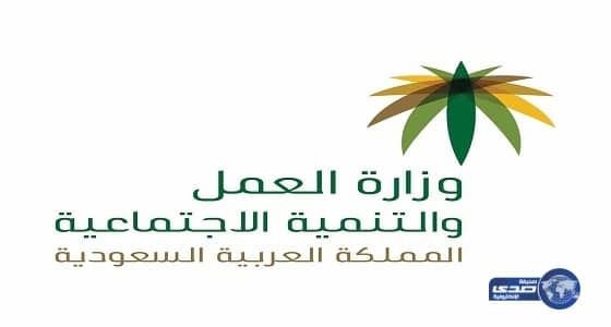 "العمل": تأشيرات الدخول لغرض العمل العادية والمنزلية دون زيادات